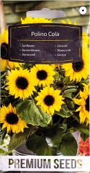Sunflower Polino Cola Seed